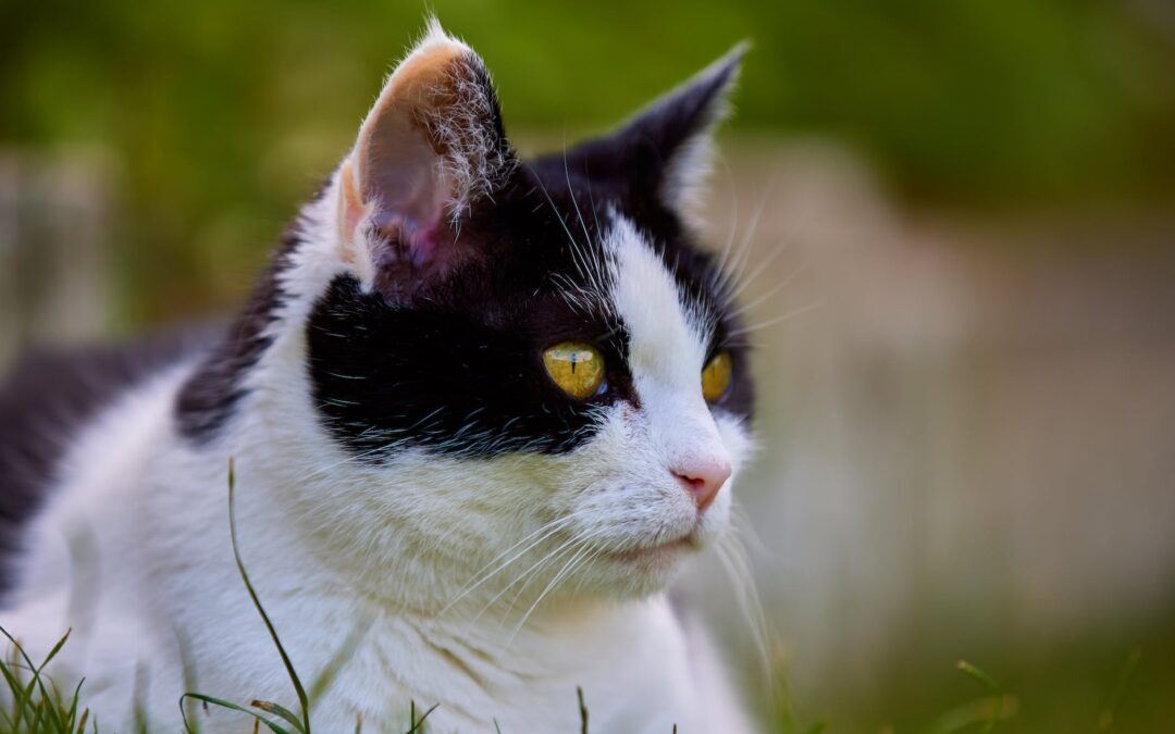 Uudet nettisivumme on nyt avattu!